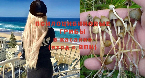 ГАЛЛЮЦИНОГЕННЫЕ ГРИБЫ Навашино