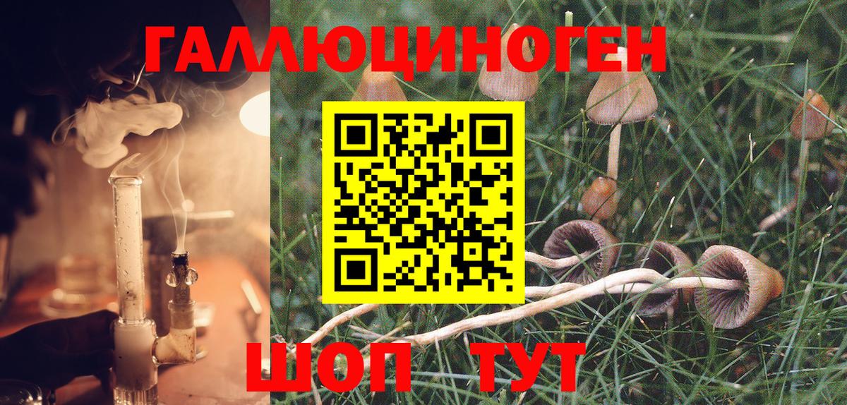 Галлюциногенные грибы Cubensis  Калининград 